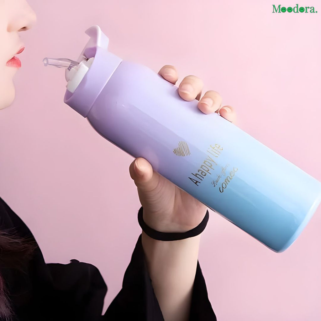 Moodora 500ml Pastel Ombré Insulated Stainless Steel Water Bottle